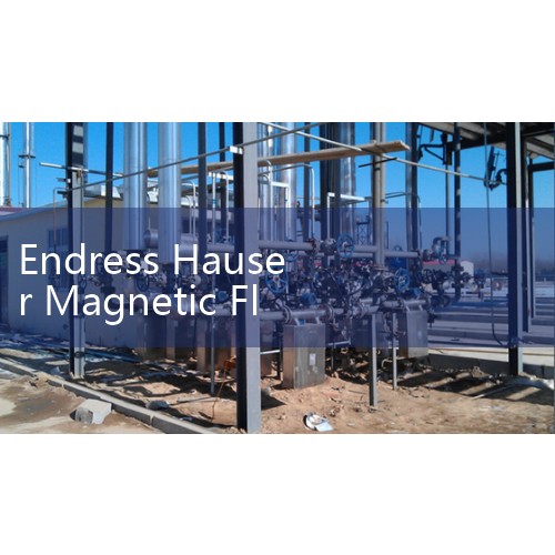 Endress Hauser Magnetic Flow Meter Manual Collection: Promag H, P, and W User Guides